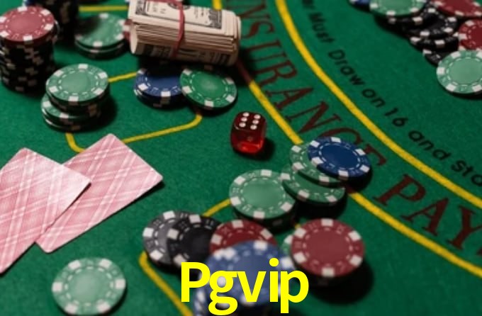 Pgvip App Interface