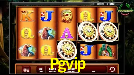 Descubra o Mundo do Cassino Online com Pgvip